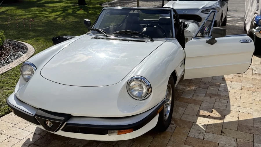 1986 Alfa Romeo Series 3 - Image 9 of 16