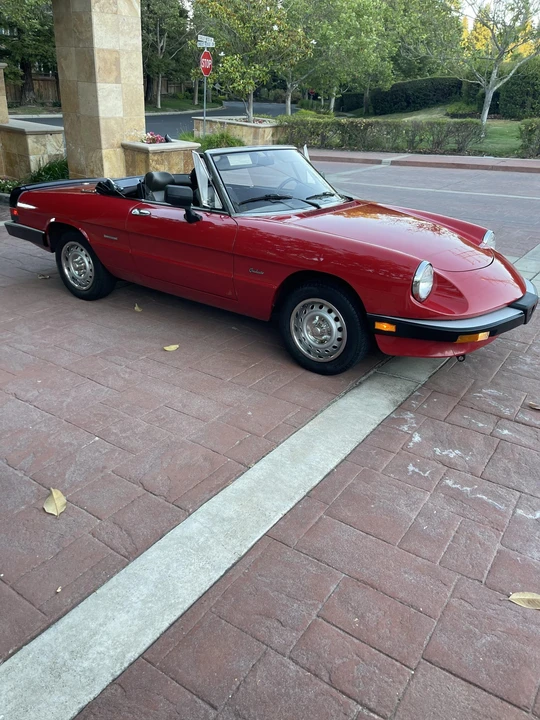 1986 Alfa Romeo Series 3 - Image 16 of 31