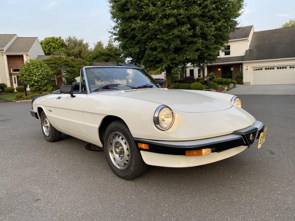 1986 Alfa Romeo Series 3 - Image 8 of 31