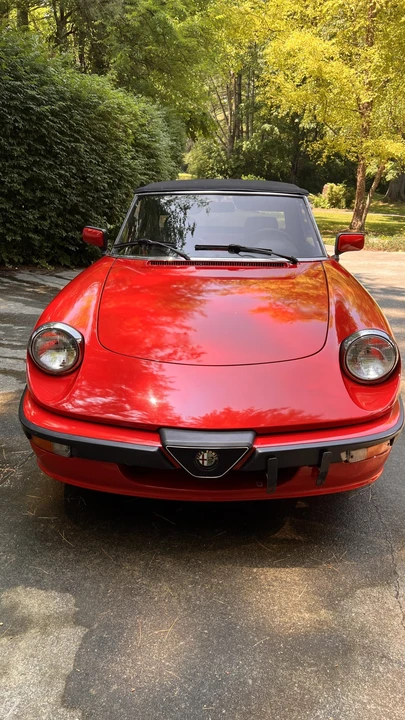 1986 Alfa Romeo Series 3 - Image 3 of 31