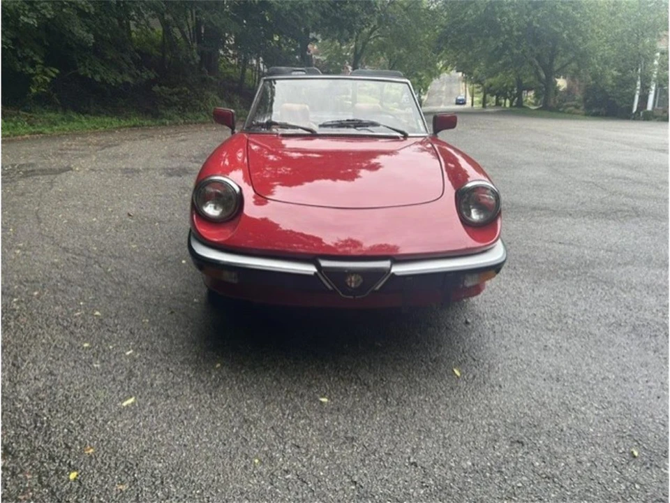 1986 Alfa Romeo Series 3 - Image 2 of 15