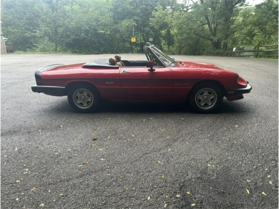 1986 Alfa Romeo Series 3 - Image 5 of 15