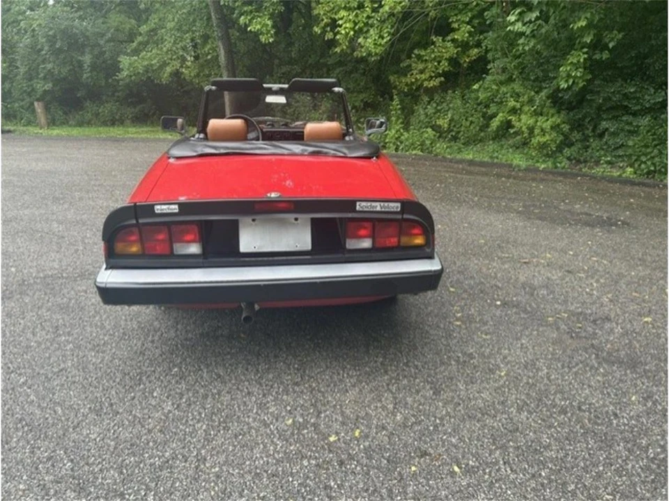 1986 Alfa Romeo Series 3 - Image 6 of 15