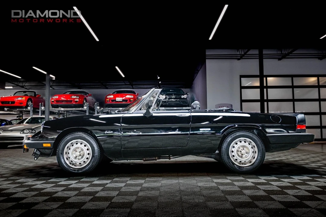 1986 Alfa Romeo Series 3 - Image 12 of 12