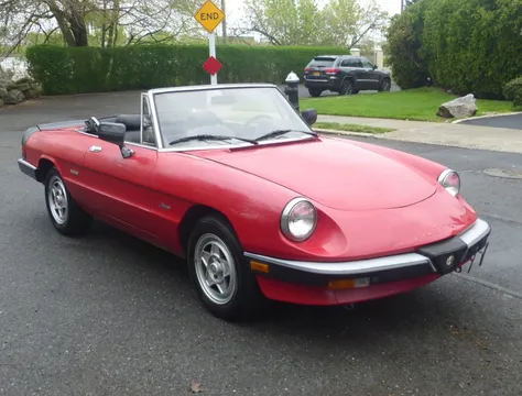 1986 Alfa Romeo Spider Veloce