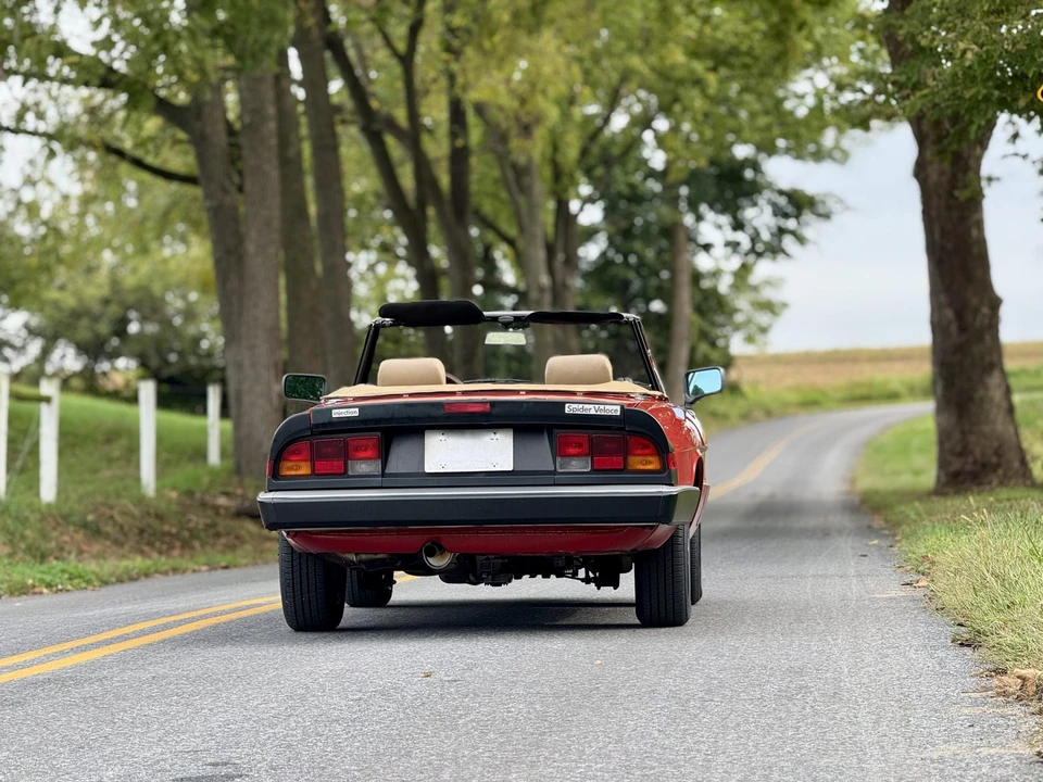 1986 Alfa Romeo Series 3 - Image 14 of 31