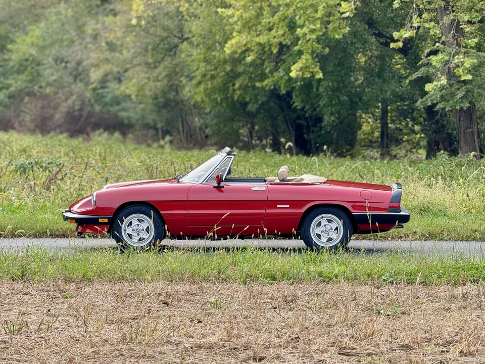 1986 Alfa Romeo Series 3 - Image 20 of 31