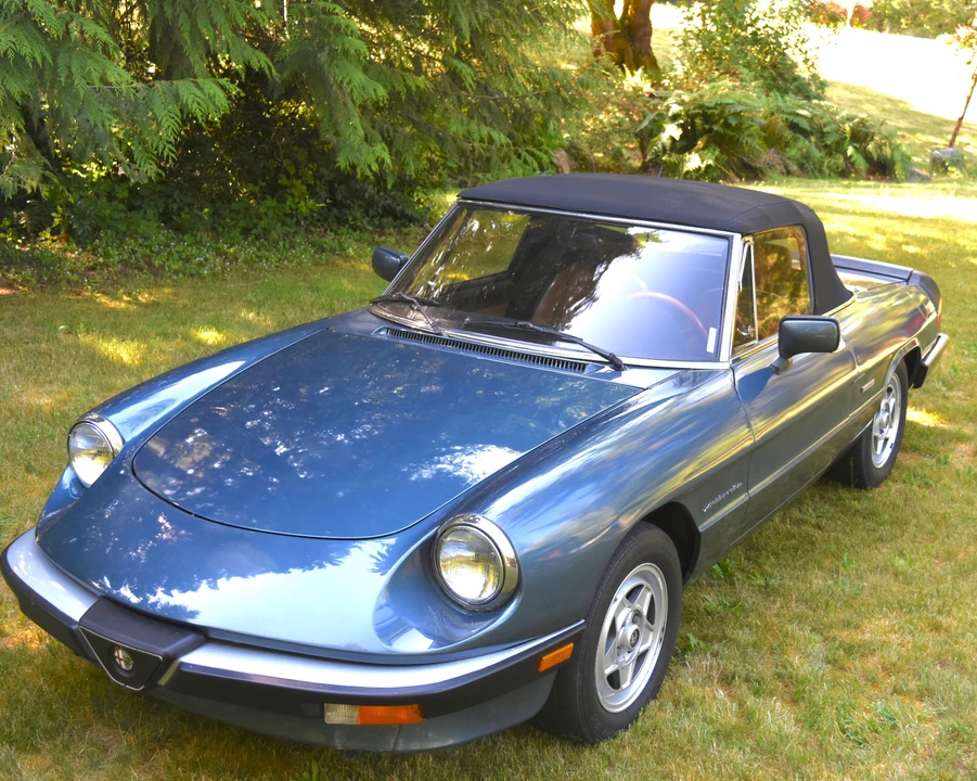 1986 Alfa Romeo Series 3 - Image 2 of 31