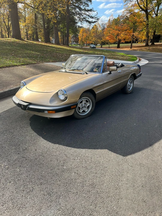 1986 Alfa Romeo Series 3 - Image 9 of 31