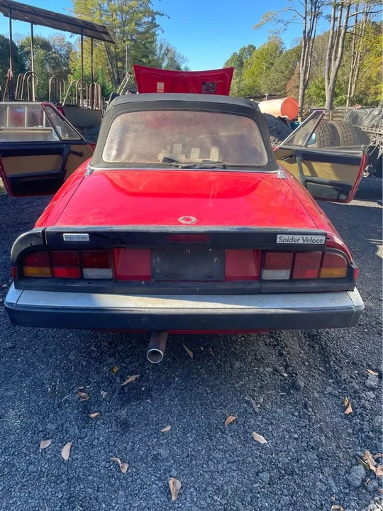 1986 Alfa Romeo Series 3 - Image 6 of 8