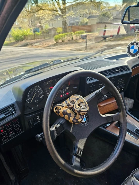 1986 BMW E23 7 Series - Image 6 of 6