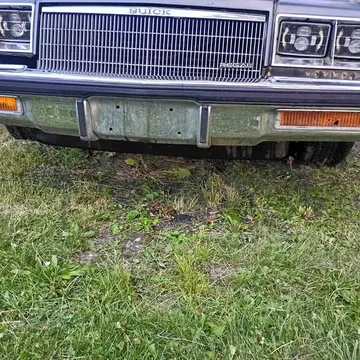 1986 Buick Regal Custom Coupe 2D