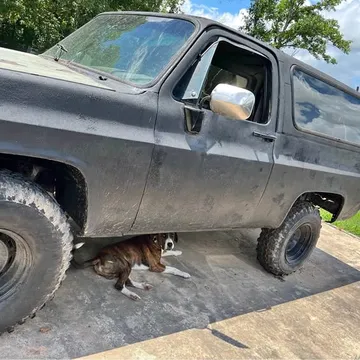 1986 Chevrolet Blazer K5