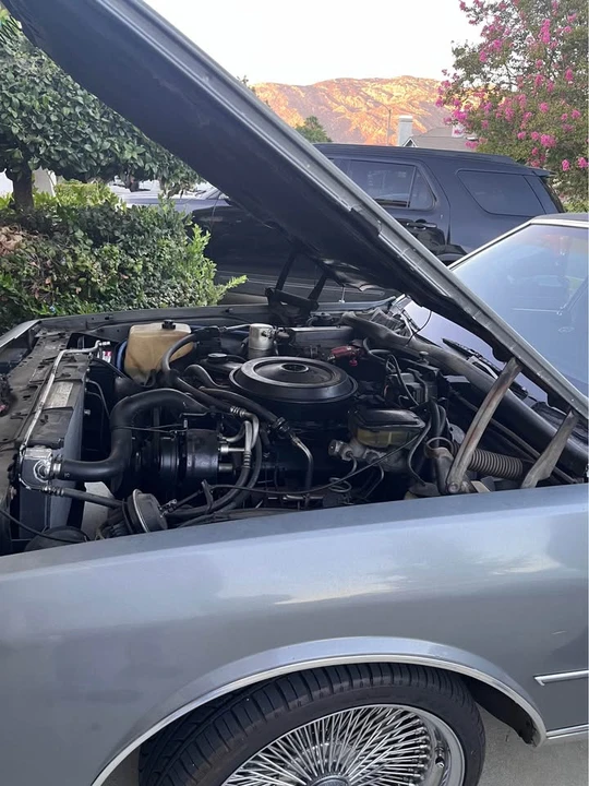 1986 Chevrolet Caprice - Image 10 of 10