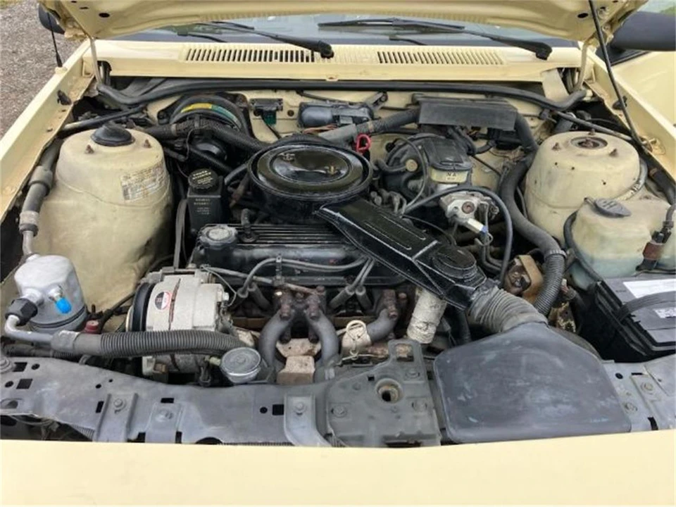 1986 Chevrolet Cavalier - Image 3 of 9
