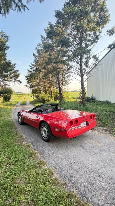 1986 Chevrolet Corvette C4 - Image 8 of 8