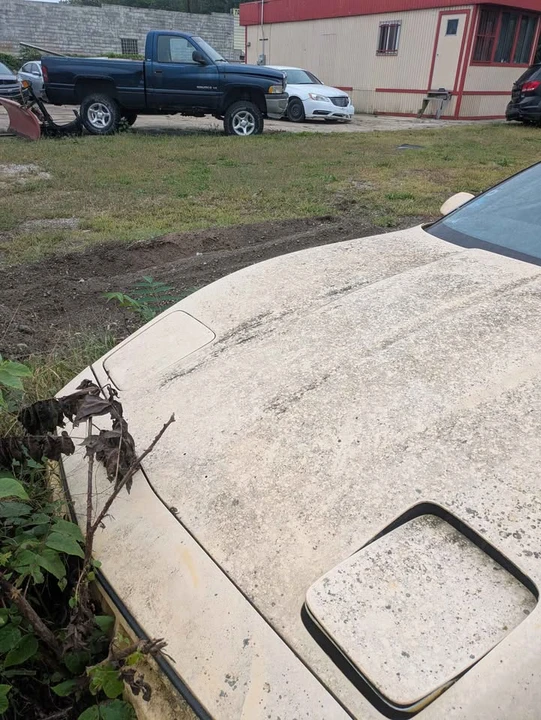 1986 Chevrolet Corvette C4 - Image 3 of 9