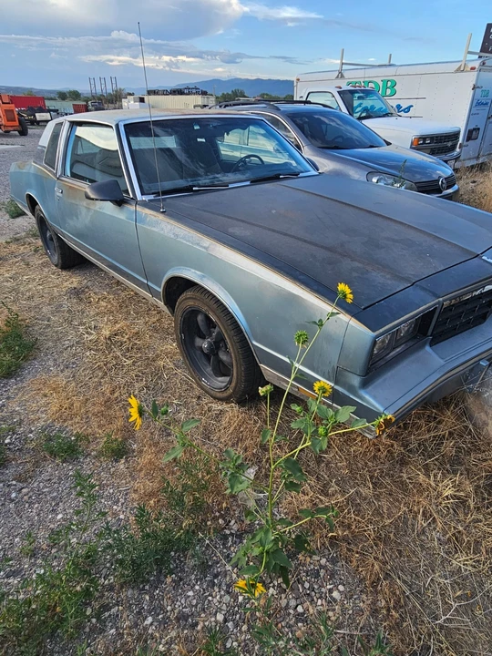 1986 Chevrolet Monte Carlo 4th Gen - Image 2 of 12