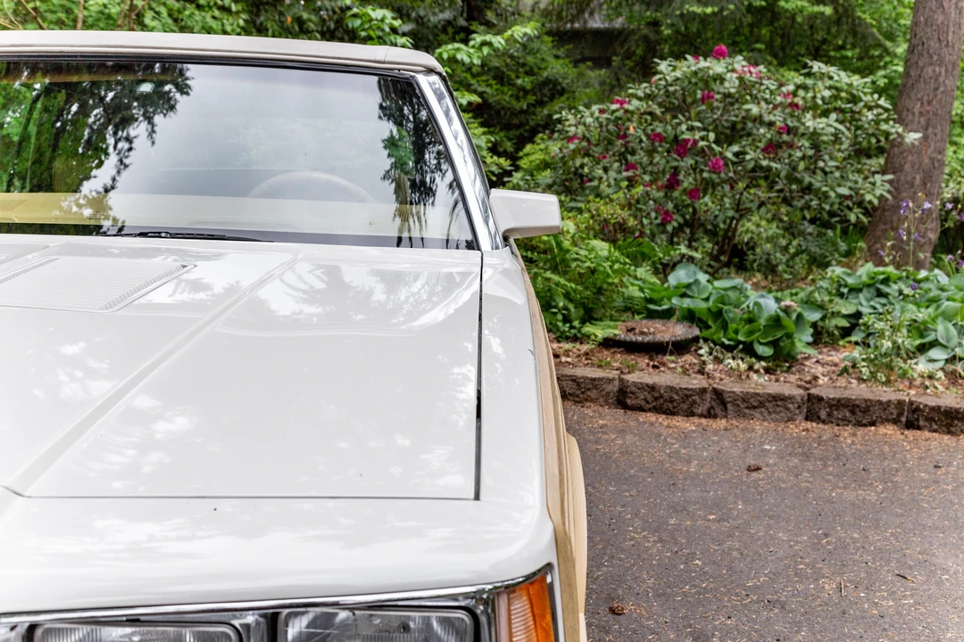 1986 Chrysler LeBaron - Image 22 of 31