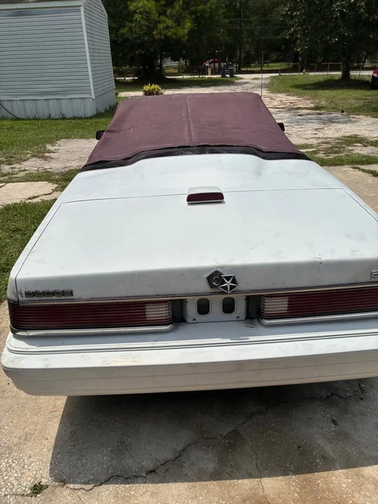 1986 Dodge 600 - Image 5 of 5