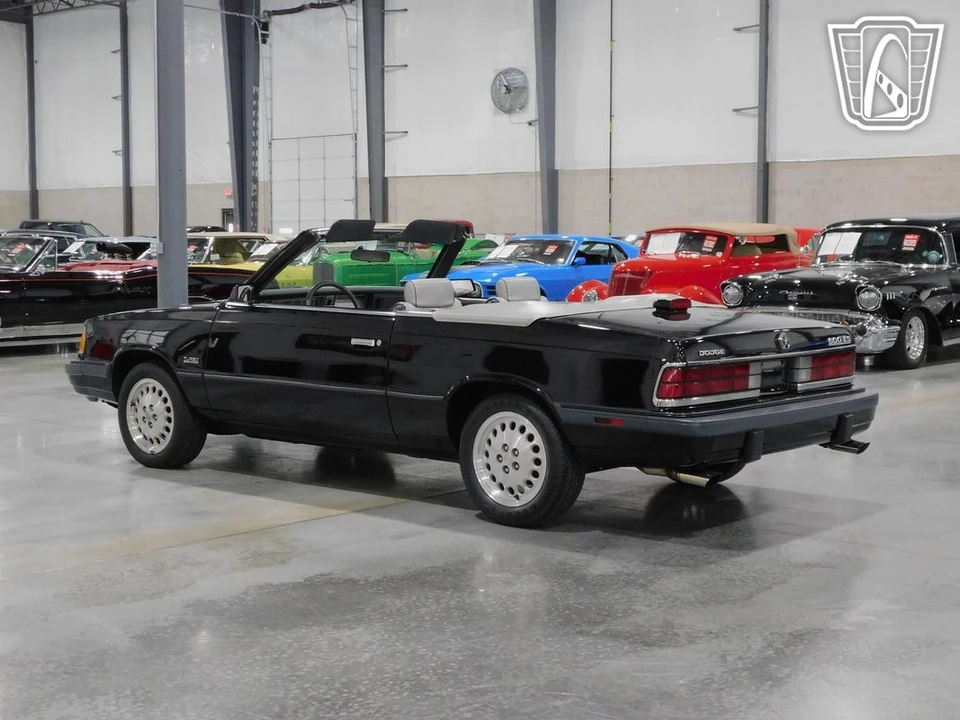 1986 Dodge 600 - Image 4 of 12