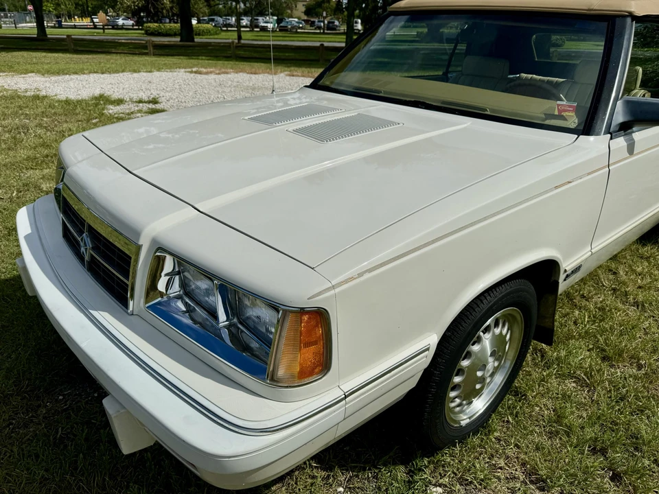 1986 Chrysler K-Car - Image 18 of 31