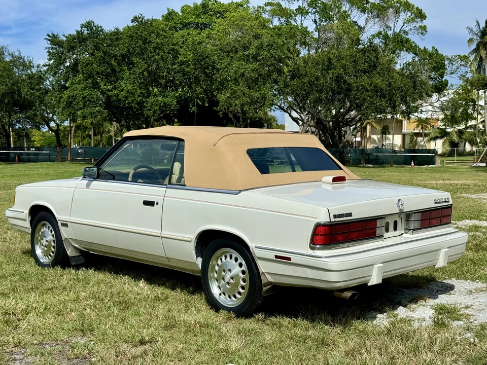1986 Chrysler K-Car - Image 8 of 31