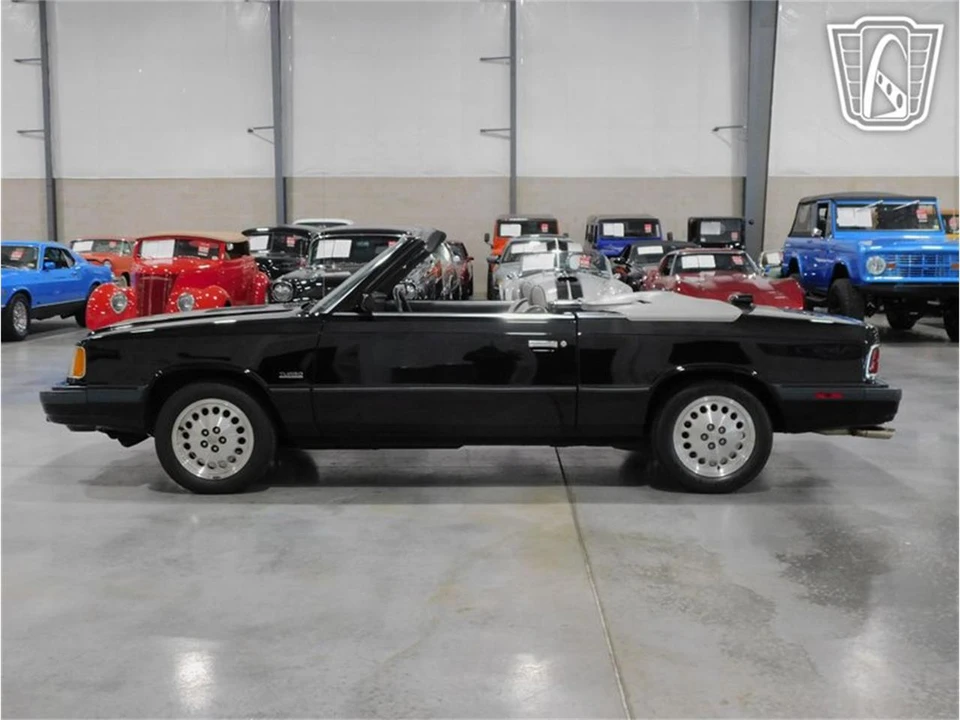 1986 Dodge 600 - Image 12 of 31
