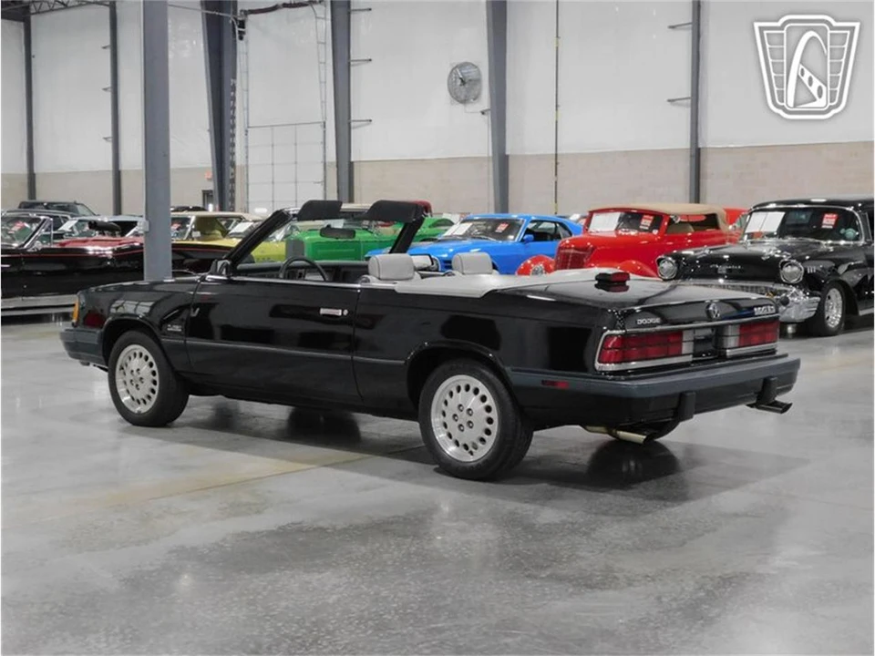 1986 Dodge 600 - Image 3 of 31