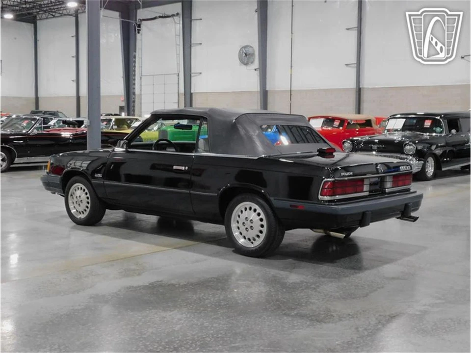 1986 Dodge 600 - Image 18 of 31