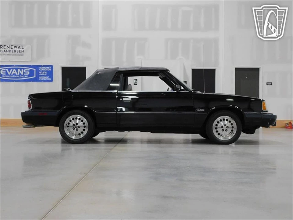 1986 Dodge 600 - Image 29 of 31