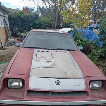 1986 Dodge Shelby Charger