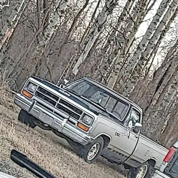 1986 Dodge D-150 Royal SE
