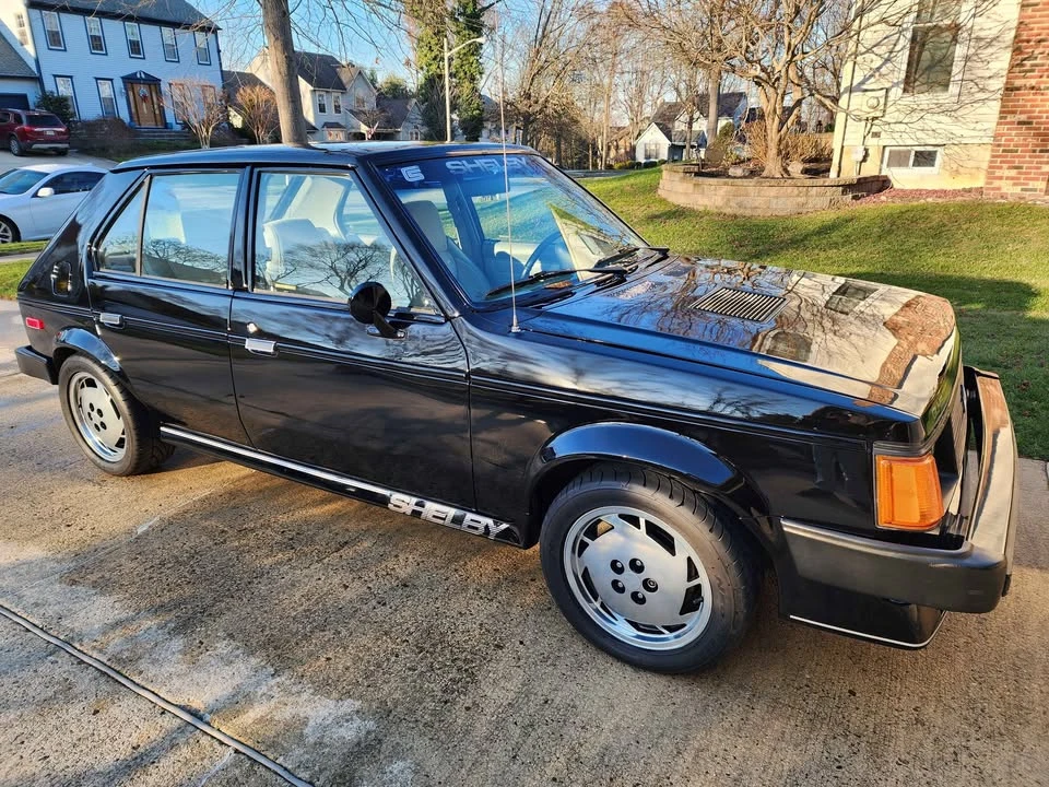 1986 Dodge Shelby GLH-S - Image 8 of 16