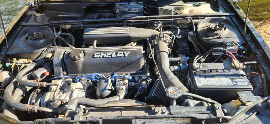 1986 Dodge Shelby GLH-S - Image 13 of 13
