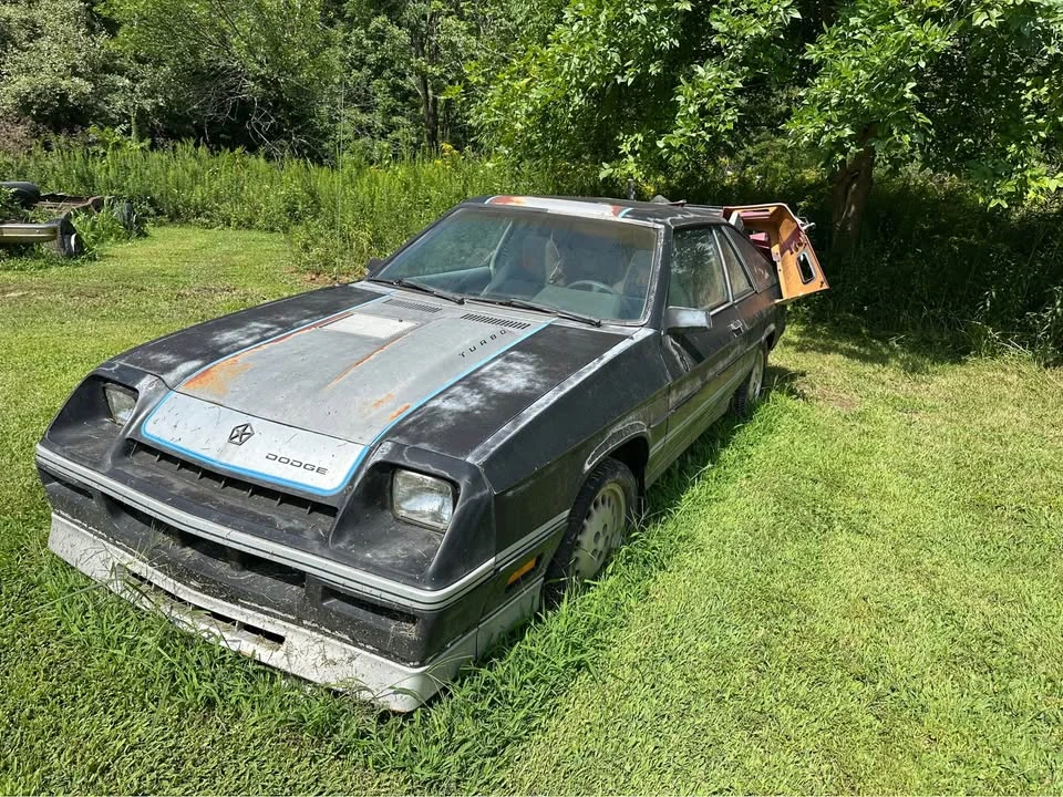 1986 Dodge Shelby GLH-S - Image 14 of 14