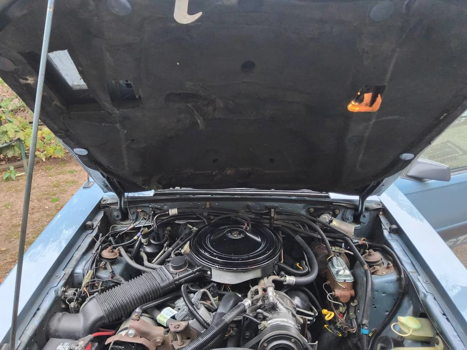 1986 Ford Mustang 3rd Gen - Image 10 of 21