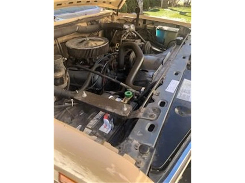 1986 Ford Bronco 3rd Gen - Image 14 of 19