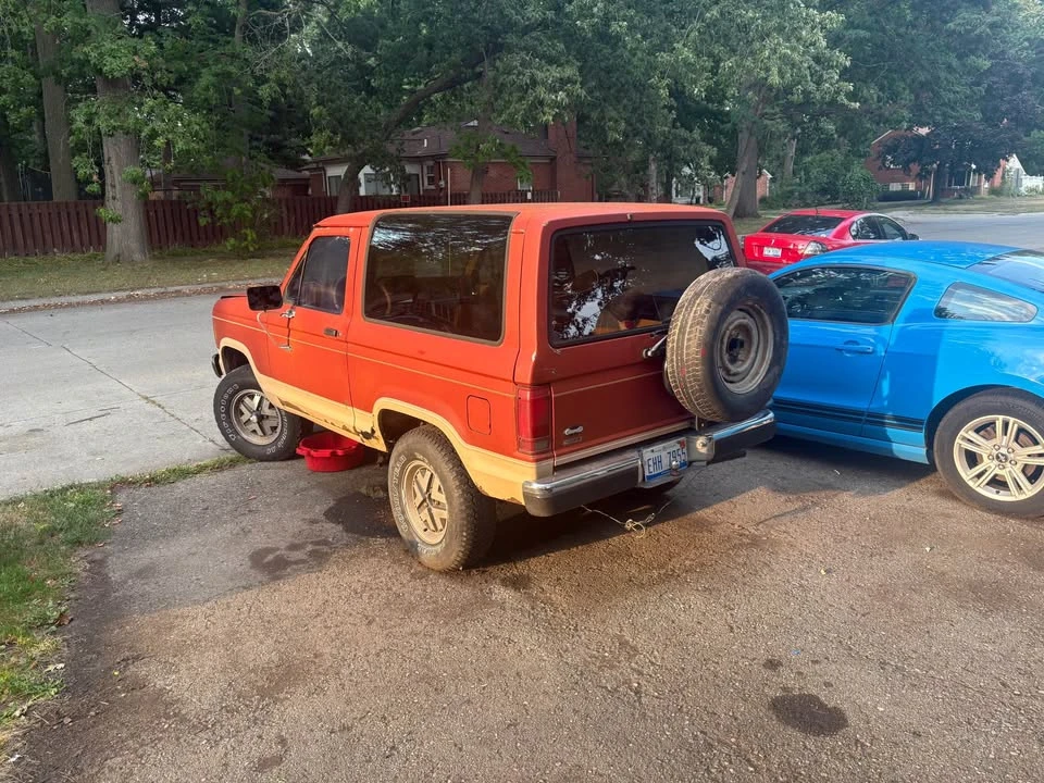 1986 Ford Bronco 3rd Gen - Image 3 of 5