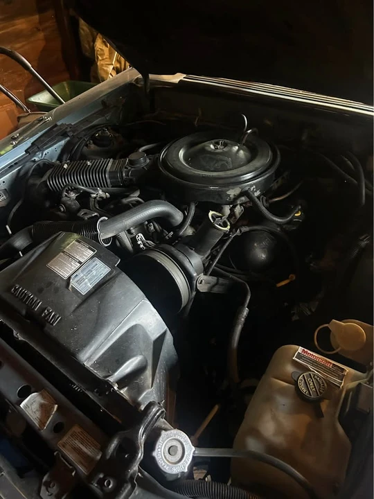 1986 Ford Mustang 3rd Gen - Image 6 of 7