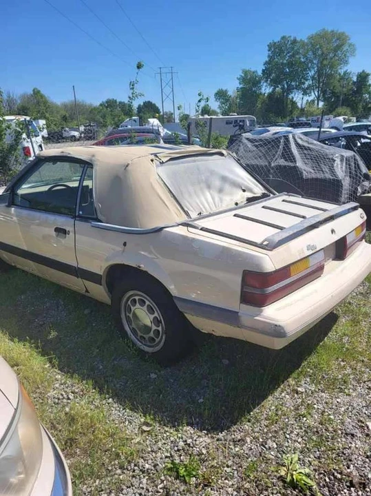 1986 Ford Mustang 3rd Gen - Image 6 of 6