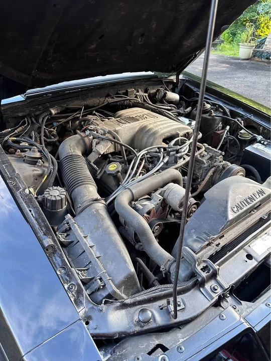1986 Ford Mustang GT 3rd Gen - Image 9 of 12