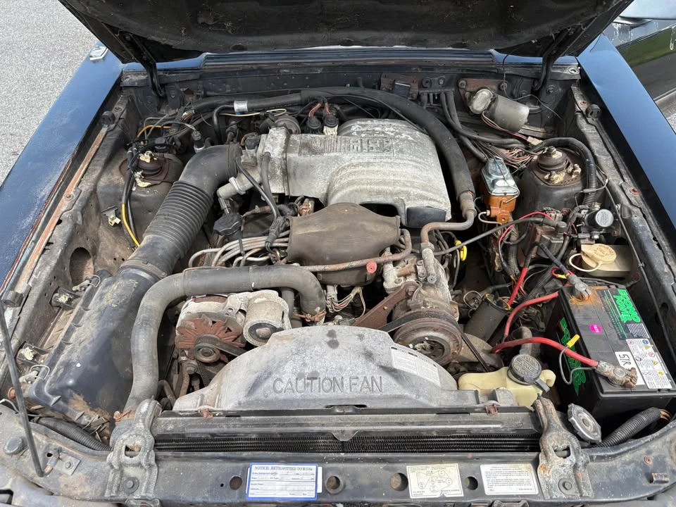 1986 Ford Mustang GT 3rd Gen - Image 13 of 20