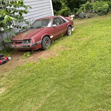 1986 Ford Mustang GT Hatchback 2D