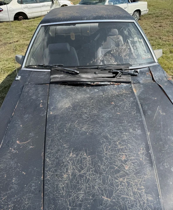 1986 Ford Mustang 3rd Gen - Image 4 of 8