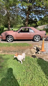 1986 Ford Mustang