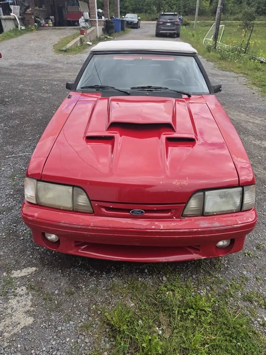 1986 Ford Mustang 3rd Gen - Image 4 of 5