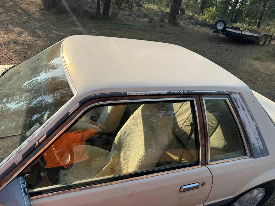1986 Ford Mustang 3rd Gen - Image 6 of 24