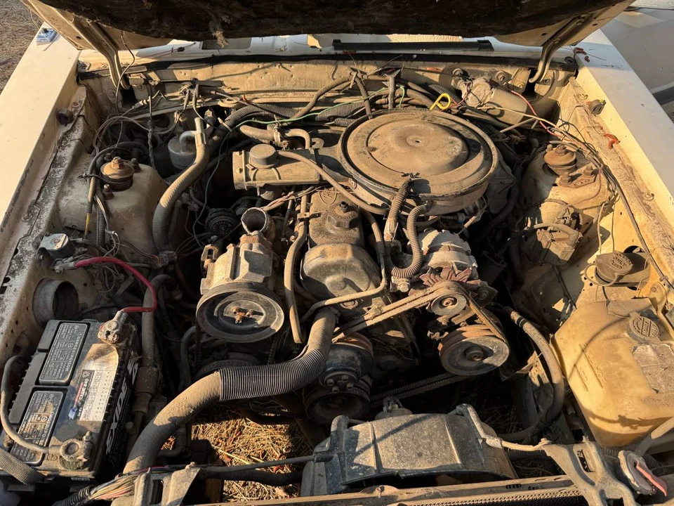1986 Ford Mustang 3rd Gen - Image 24 of 24