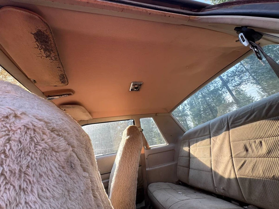 1986 Ford Mustang 3rd Gen - Image 23 of 24